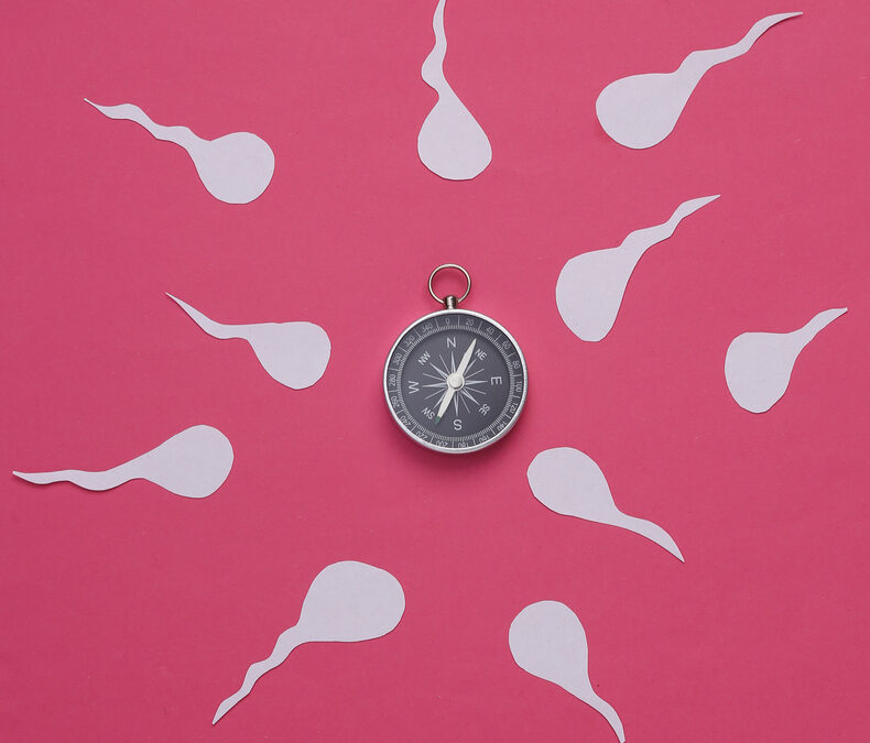 Conceiving Hope: Navigating Fertility Challenges with Expert Guidance from Dr. Neelan Pillay in Reproductive Medicine